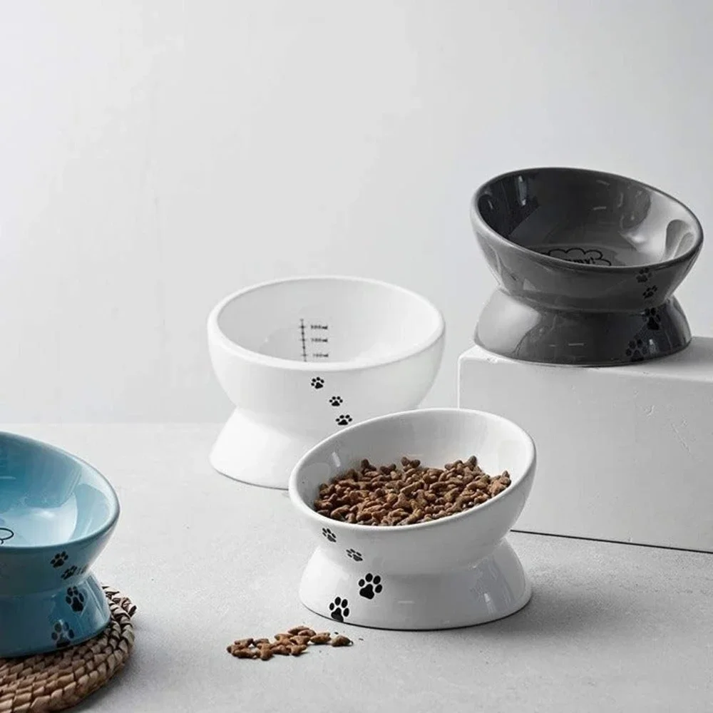 Cat Bowl Anti Vomiting, Raised Cat Food Bowls, Tilted Elevated Cat Bowl
